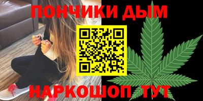 индика Кулебаки